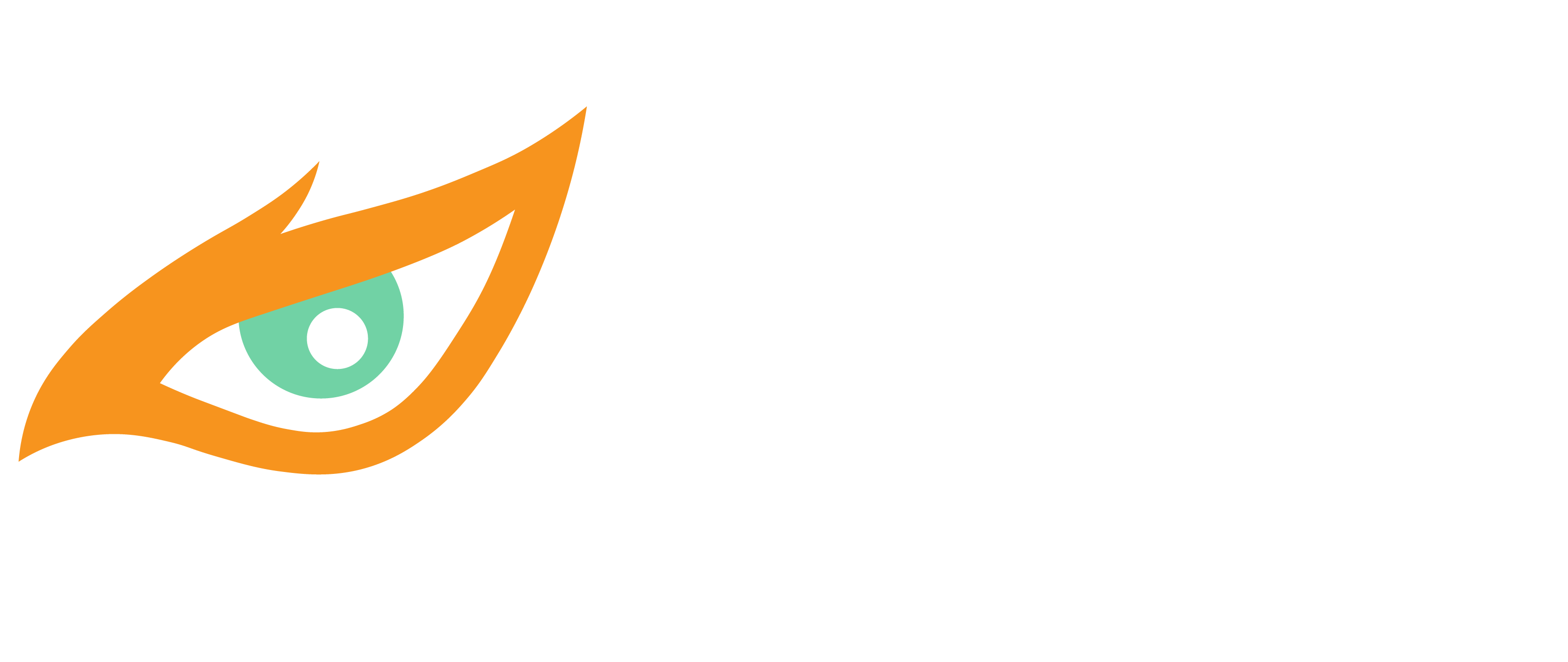 EAGLE EYE